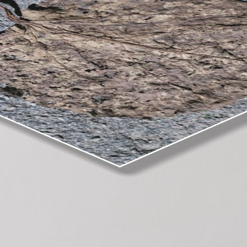 Graphic/Textured Peel And Stick Photo Tile