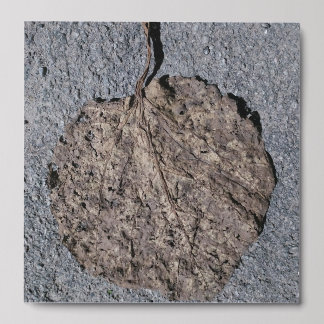 Graphic/Textured Peel And Stick Photo Tile