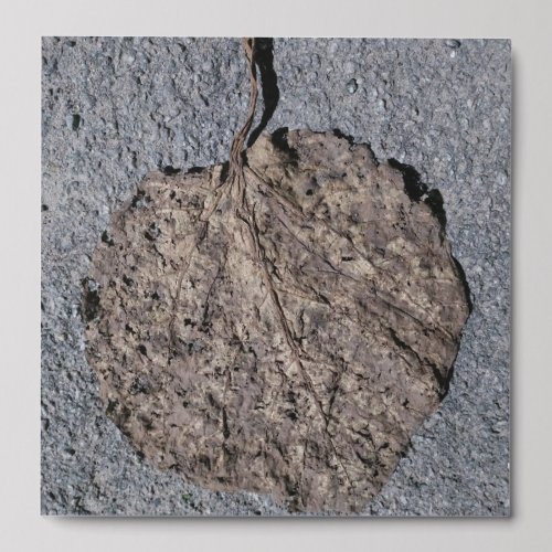 Graphic/Textured Peel And Stick Photo Tile