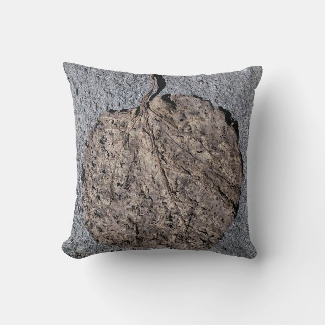 Graphic/Textured Throw Pillow (Front)