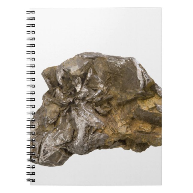 Graphite, Danville, Vermont, USA Notebook (Front)