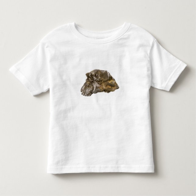 Graphite, Danville, Vermont, USA Toddler T-shirt (Front)