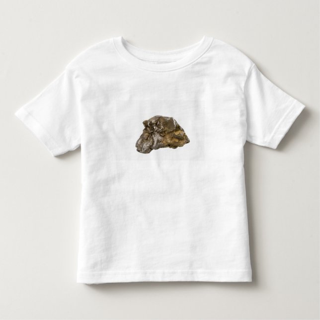 Graphite, Danville, Vermont, USA Toddler T-shirt (Front)