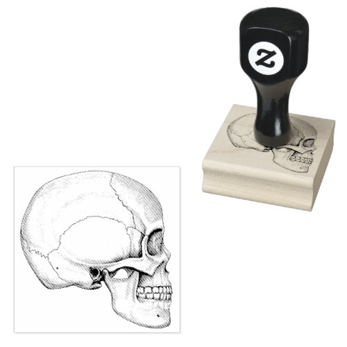 Graphite Illustrated Skull Rubber Stamp