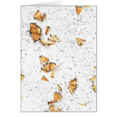 graphite pencil shavings (Front)