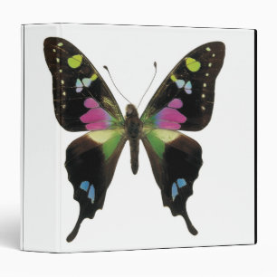 Graphium butterfly 3 ring binder