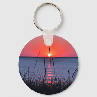 Gräser im Abendlicht - Insel Rügen Keychain