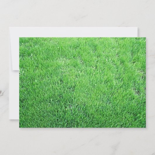 Grass (Front)