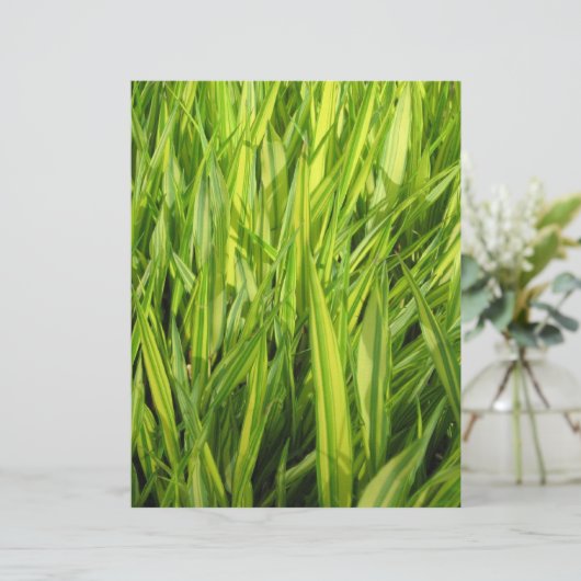 grass (Standing Front)