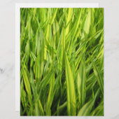 grass (Front/Back)