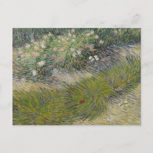 Grass and Butterflies by Vincent van Gogh Postcard