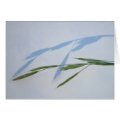 Grass and Shadow (Front Horizontal)