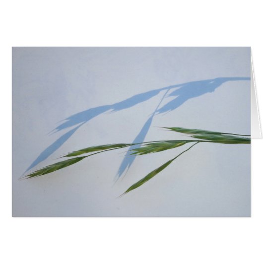 Grass and Shadow Cards (Front Horizontal)