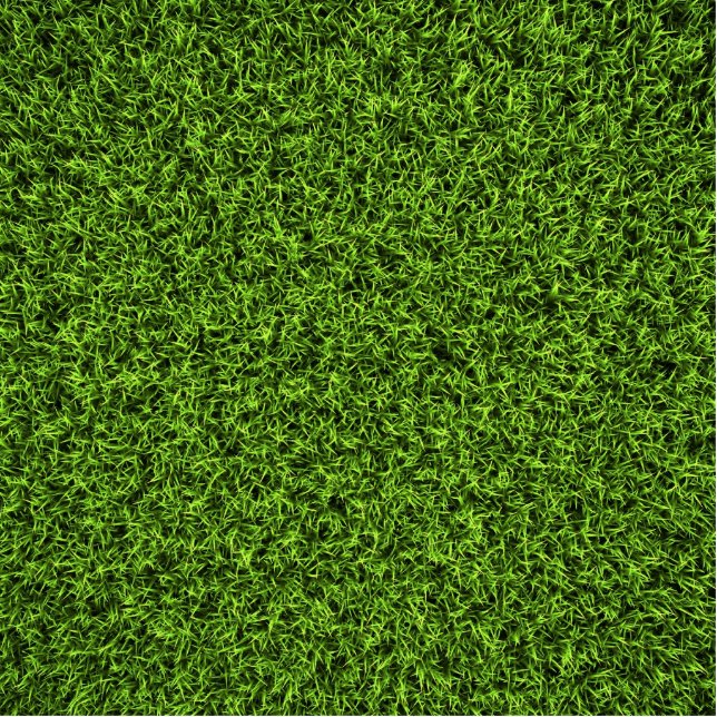 Grass Background Cutout (Front)