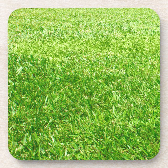 Grass Beverage Coaster (Front)