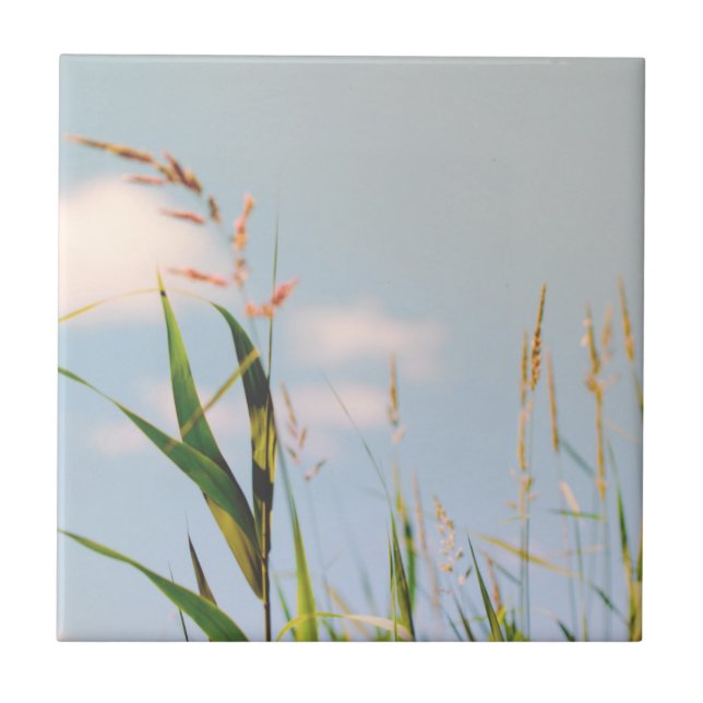 Grass Blue Sky Field Meadow Nature Ceramic Tile (Front)