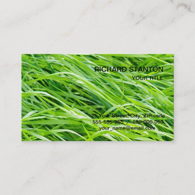 Grass Business Card (Front)