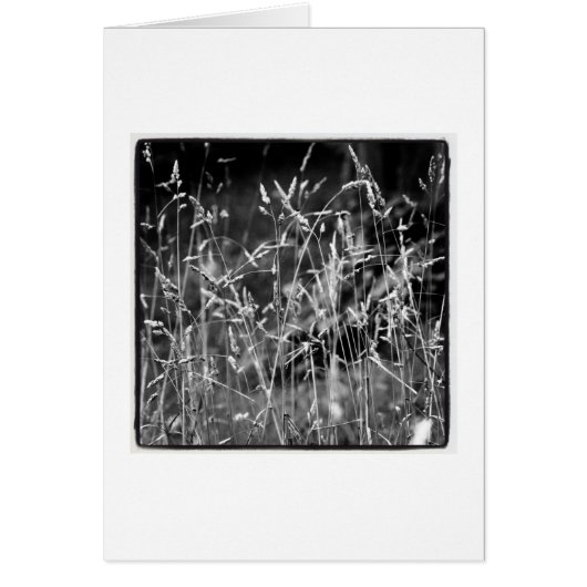 Grass Cards (Front)
