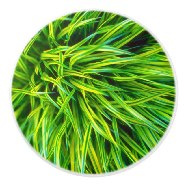 Grass Ceramic Knob (Front)