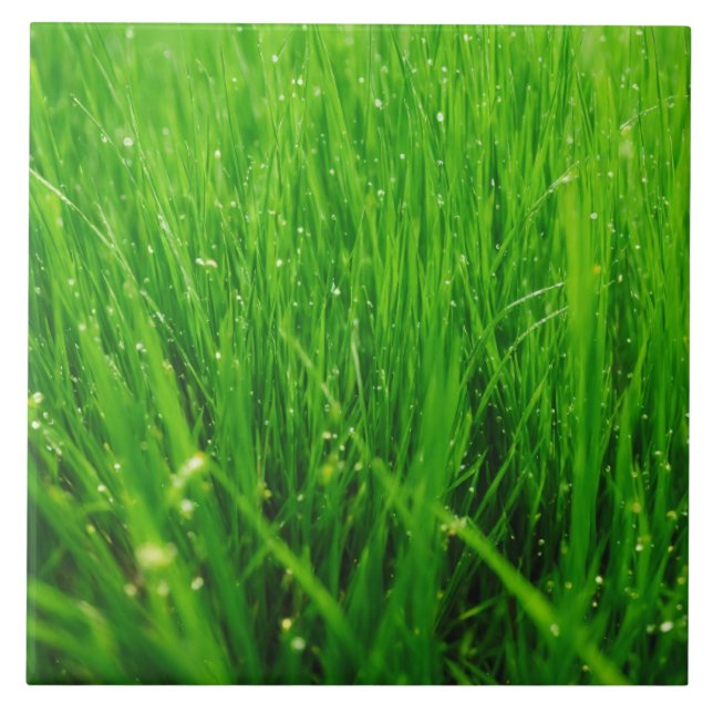 Grass Ceramic Tile (Front)