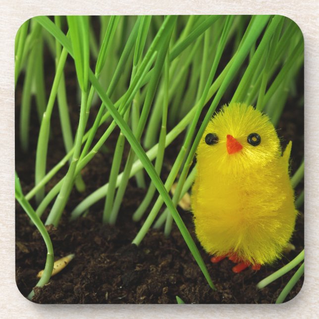 grass chick beverage coaster (Front)