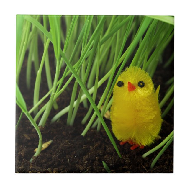 grass chick ceramic tile (Front)