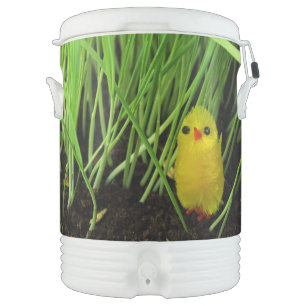 grass chick cooler