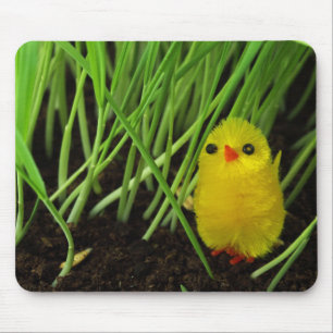 grass chick mouse pad