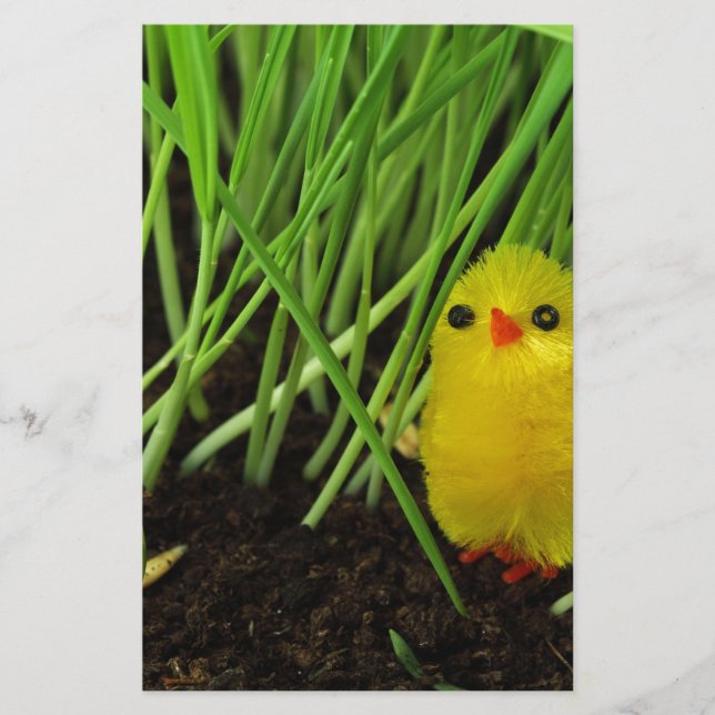 grass chick stationery (Front)