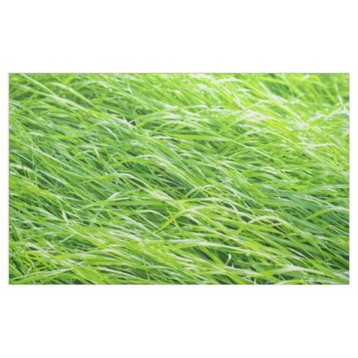 Grass Fabric