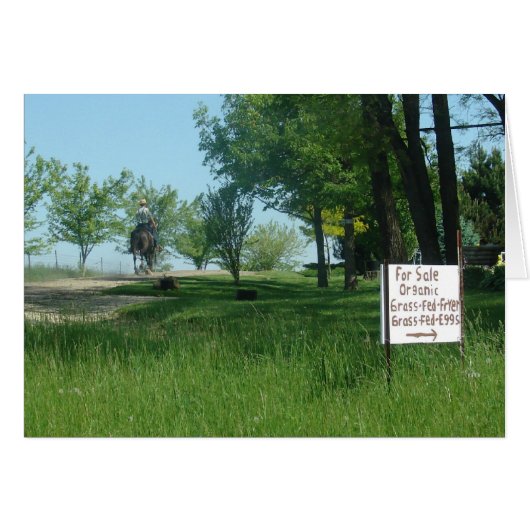 Grass Fed Organic Eggs Cards (Front Horizontal)