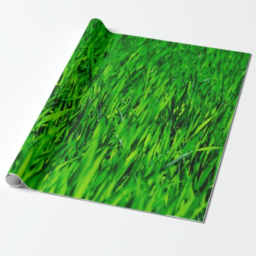 Grass field meadow lawn growth wrapping paper