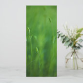 Grass - Green Grasses Background Template (Standing Front)