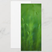 Grass - Green Grasses Background Template (Front/Back)