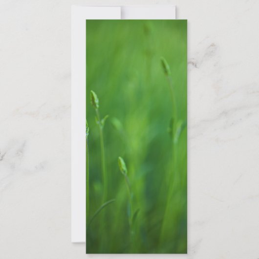 Grass - Green Grasses Background Template (Front)