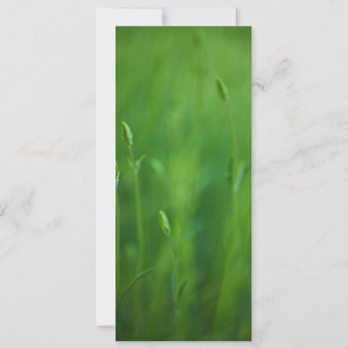 Grass - Green Grasses Background Template Invitations