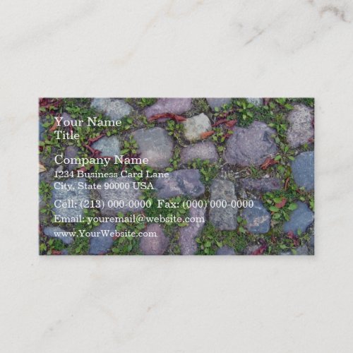 Grass Grows Through Paving Walkway Business Card