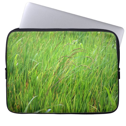 Grass