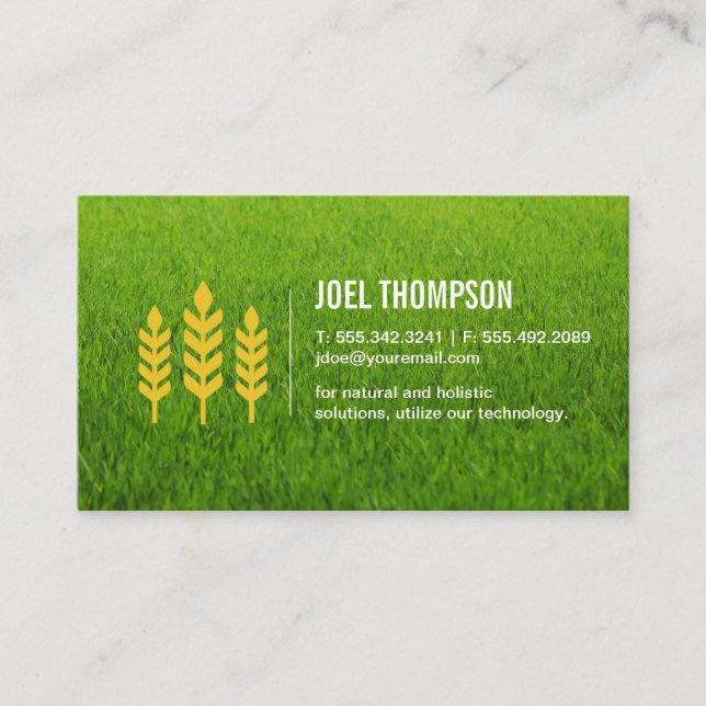 Grass Natural | Wheat Icon Business Card (Front)