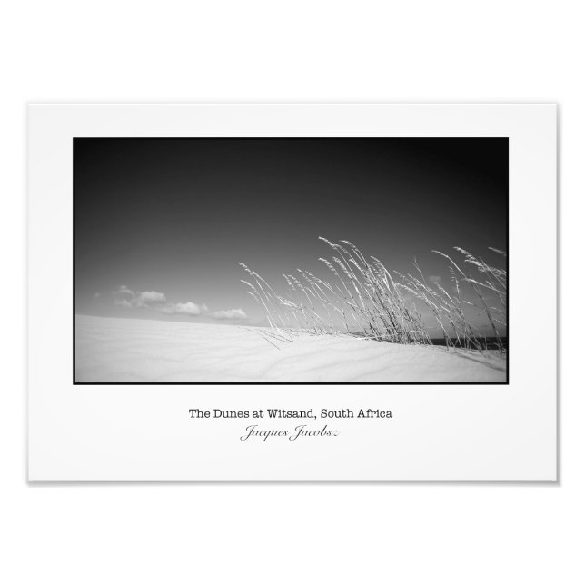 Grass on Dune Photo Print (Front)