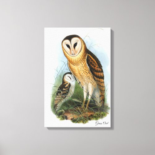 Grass Owl Canvas Print