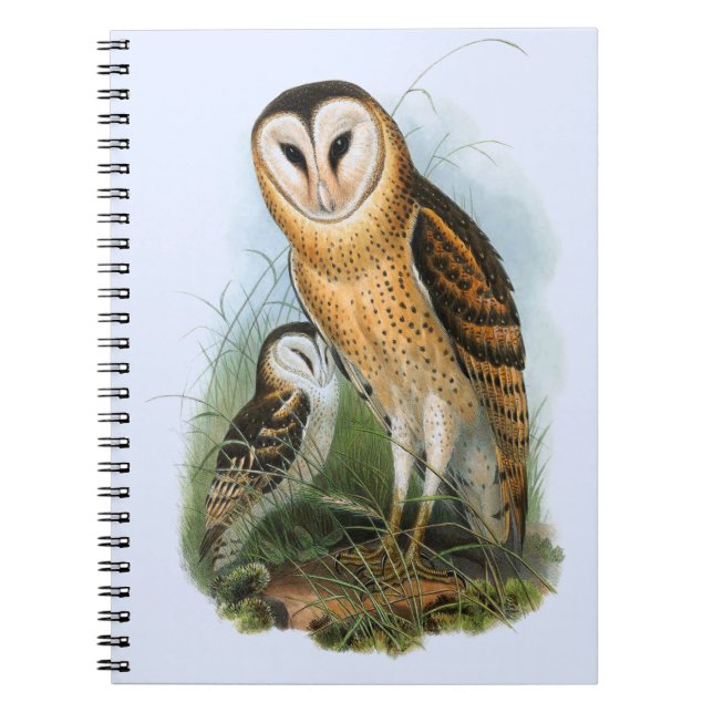 Grass Owl Notebook (80 Pages B&W) (Front)