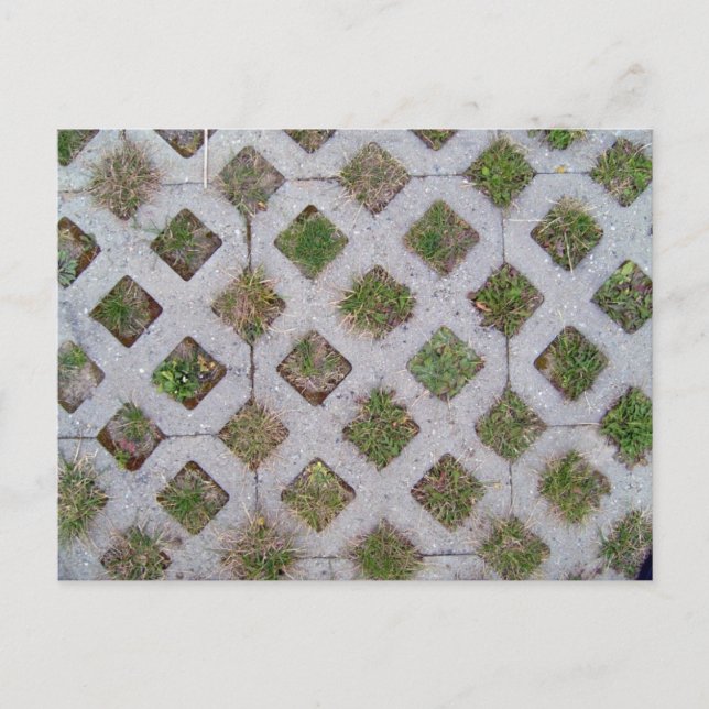 Grass Paver With Checkered Pattern Postcard (Front)