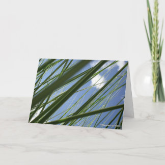Grass Prism - Notecard