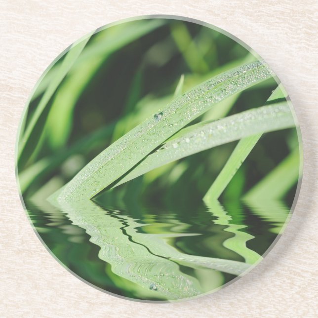 grass reflections drink coaster (Front)