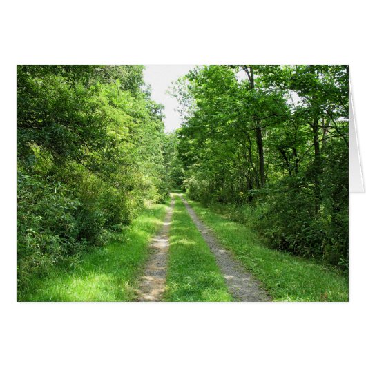 Grass Road into Woods Cards (Front Horizontal)