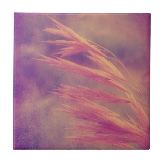 Grass Seed Purple Haze Digital Art Tile (Front)