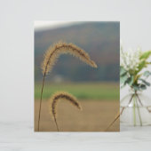 Grass Seed Stalks (Standing Front)