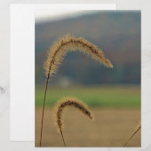 Grass Seed Stalks (Front/Back)