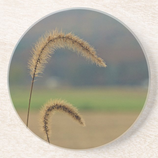 Grass Seed Stalks Drink Coaster (Front)